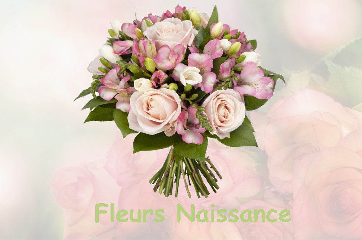 fleurs naissance SAINT-CLAIR-DE-HALOUZE