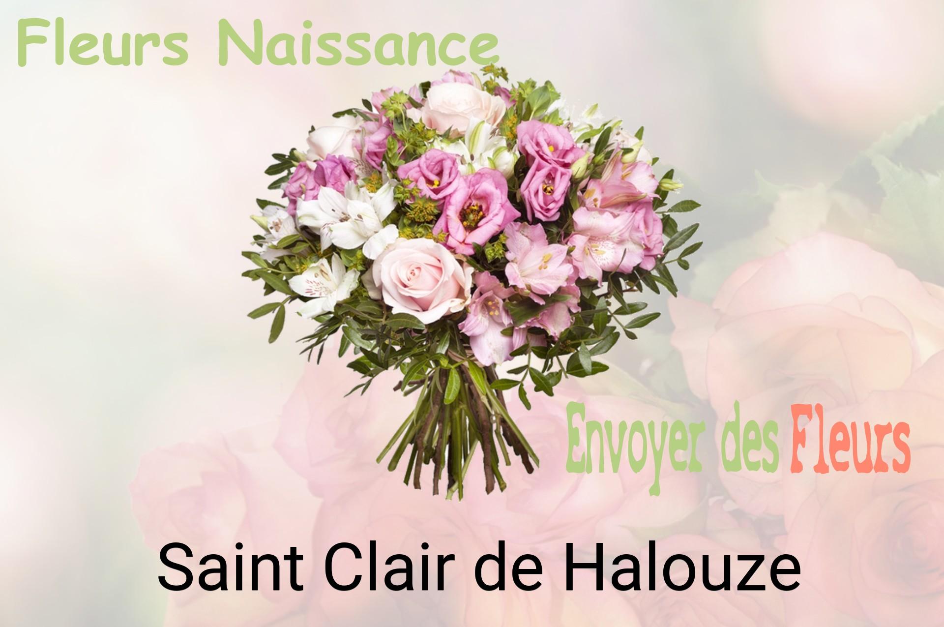 Bouquet de fleurs de naissance livré à Saint-Clair-de-Halouze