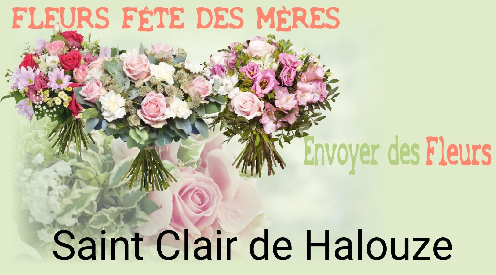 Bouquet de Fête des Mères livré à Saint-Clair-de-Halouze